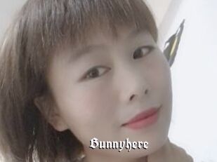 Bunnyhere