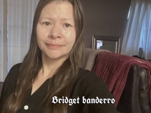 Bridget_banderro