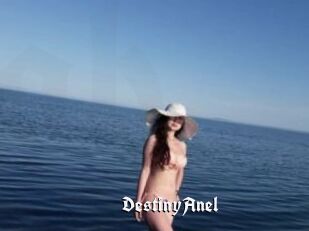 DestinyAnel
