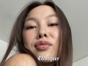 Edinageer