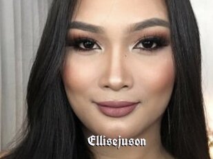 Ellisejuson