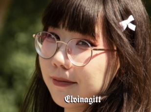Elvinagitt