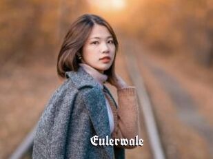 Eulerwale