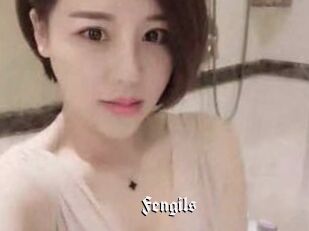Fengils