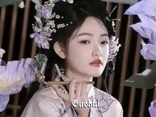 Guohui