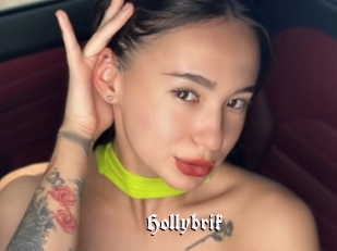 Hollybrik