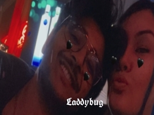 Laddybug