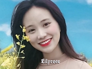 Lilyrose