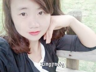 Lingynedg