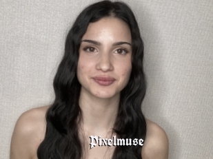 Pixelmuse