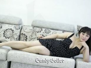 SandyBoller