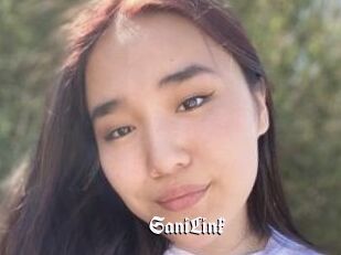 SaniLink