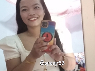 Soysoy23