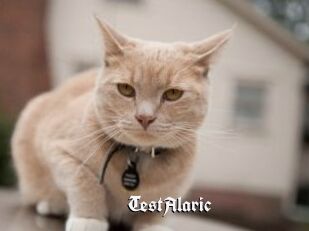 TestAlaric