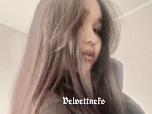 Velvettneko