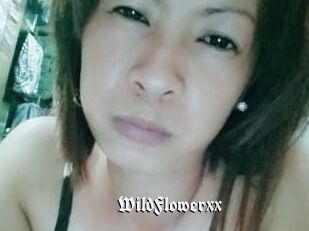 WildFlowerxx