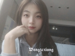 Wangzcxiang