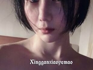 Xingganxiaoyemao